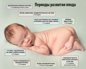 Нервы при беременности влияние на плод. Нервы во время беременности: последствия