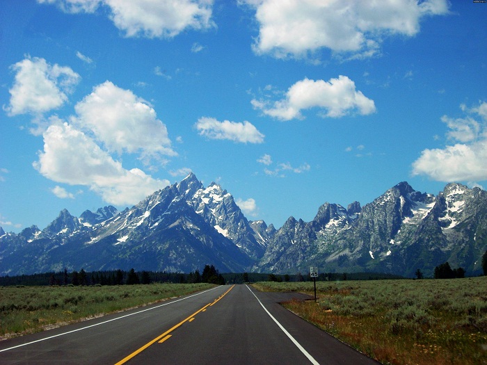 Области высотной поясности