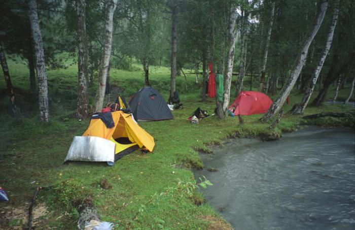 Отдых в Горном Алтае рыбалка