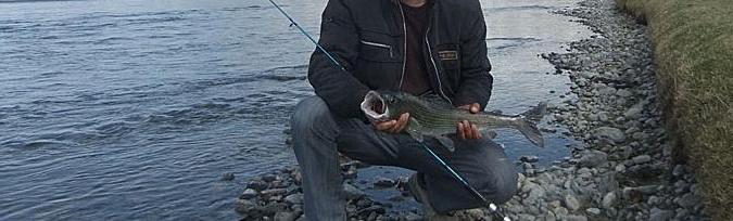 Рыбалка в Горном Алтае на хариуса