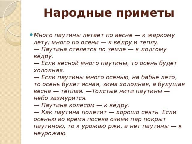 Почему осенью летает паутина. паутина – все приметы, связанные с паучьей сетью. знаешь ли ты