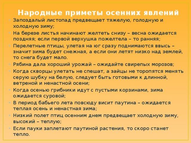 Паутина – все приметы, связанные с паучьей сетью
