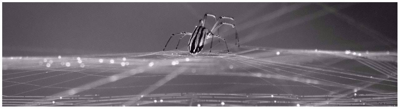 Самые популярные толкования народных примет о погоде