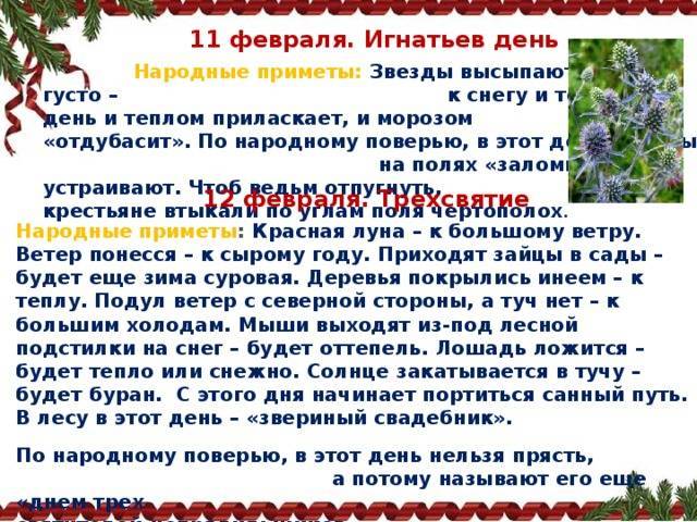 Паутина – все приметы, связанные с паучьей сетью. блог "магия биологии" почему осенью летает паутина