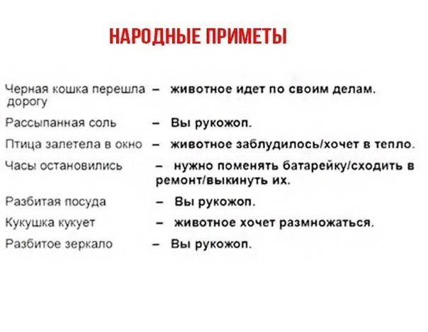 Паутина – все приметы, связанные с паучьей сетью