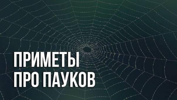 Почему на улице много паутины