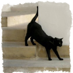 Плохие приметы, которые нужно соблюдать