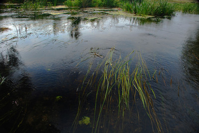 Течение на рыбалке