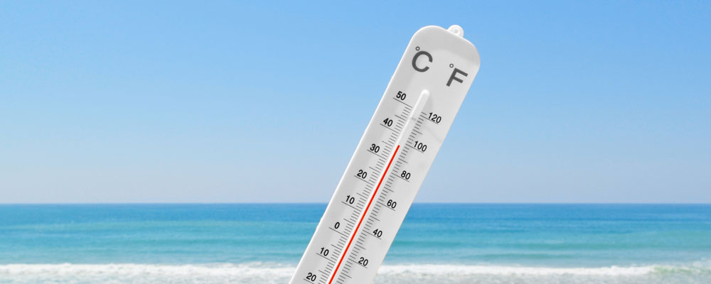 ВЛИЯНИЕ ТЕМПЕРАТУРЫ ВОЗДУХА НА РЫБАЛКУ