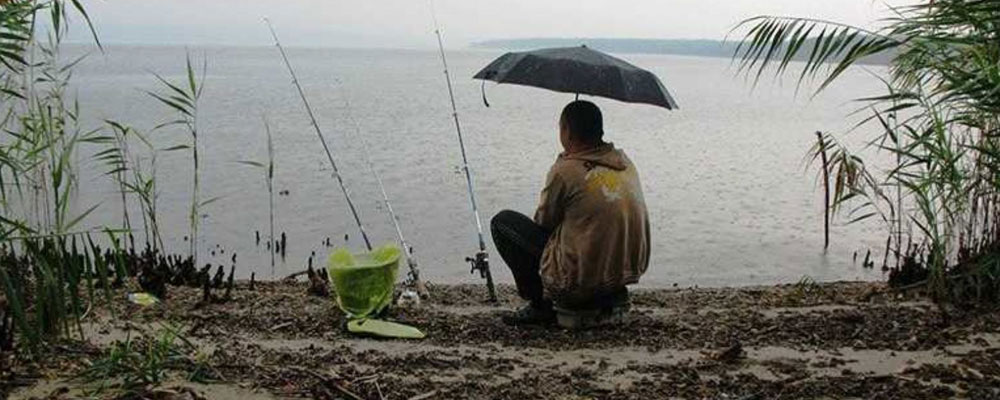 ВЛИЯНИЕ ОСАДКОВ НА ЛОВЛЮ РЫБЫ