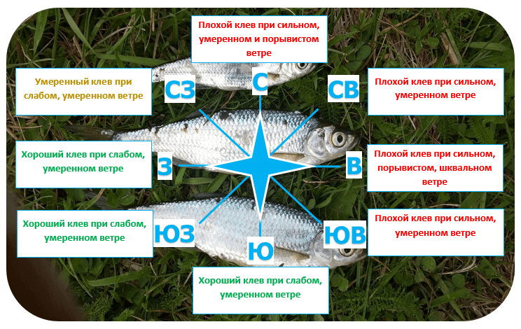 Лучшая погода для рыбалки. при какой погоде лучше клюёт рыба - рыбачок!сайт рыбачок