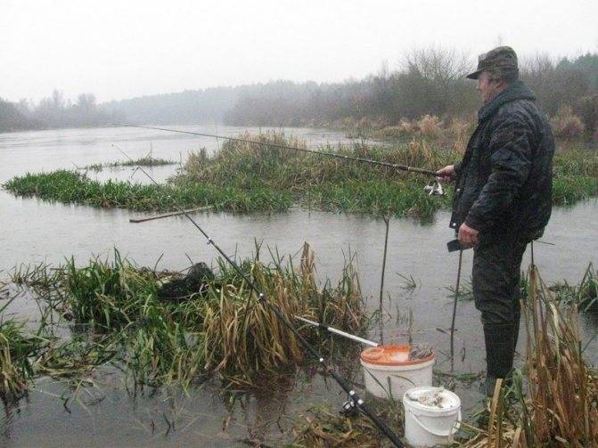 Почему рыба не клюет: причины, факторы, способы активации