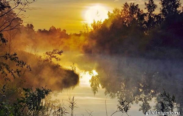 Погода-для-рыбалки-Как-влияет-и-в-какую-лучше-идти-на-рыбалку