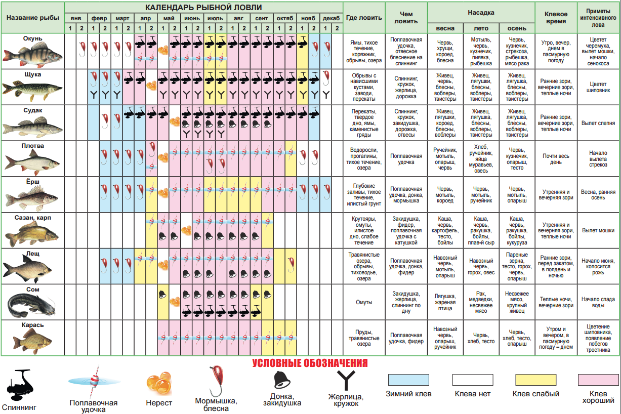Клюет ли рыба в дождь