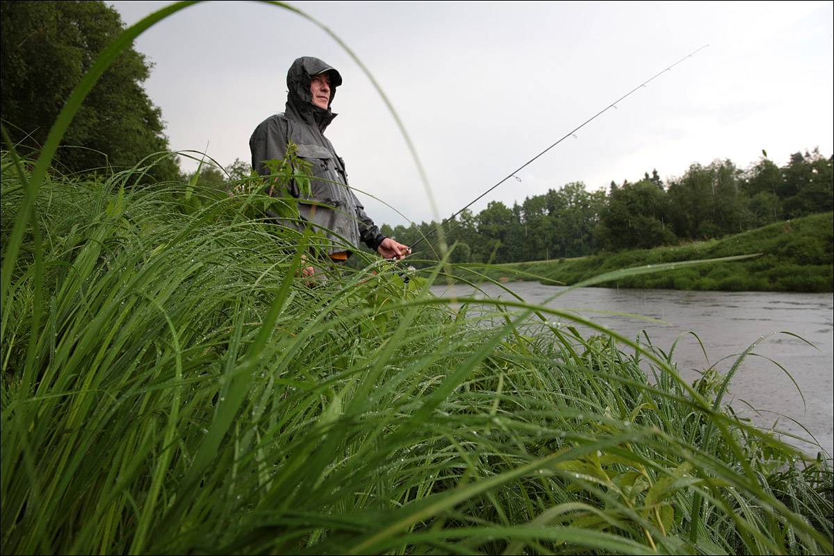 В какую погоду лучше ловить рыбу - влияние давления, ветра и сезона на клёв