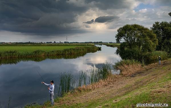 Погода-для-рыбалки-Как-влияет-и-в-какую-лучше-идти-на-рыбалку-9