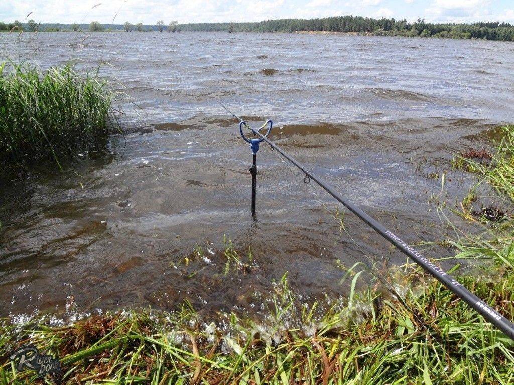 Погода для рыбалки: атмосферные явления и клёв