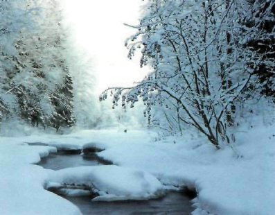 Приметы декабря