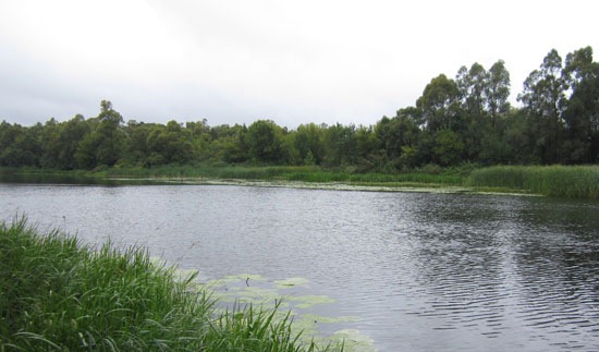 Пасмурно. Легкий ветерок