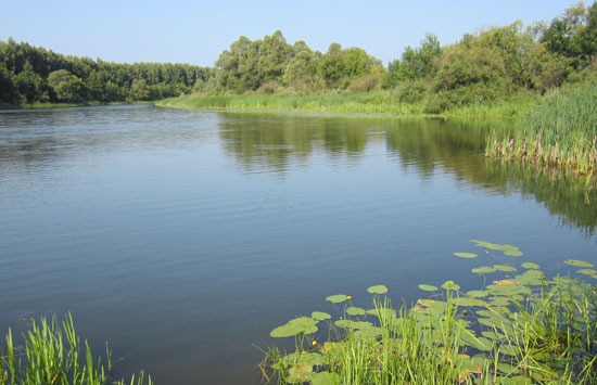 Солнечный полдень