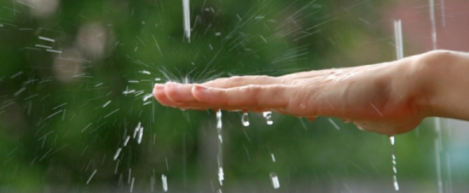 Погодные приметы на 24 мая