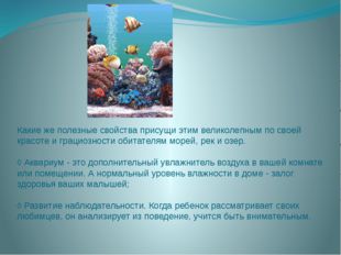 Какие же полезные свойства присущи этим великолепным по своей красоте и граци