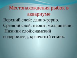 Местонахождения рыбок в аквариуме Верхний слой: данио-рерио. Средний слой: не