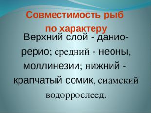 Совместимость рыб по характеру Верхний слой - данио-рерио; средний - неоны, м