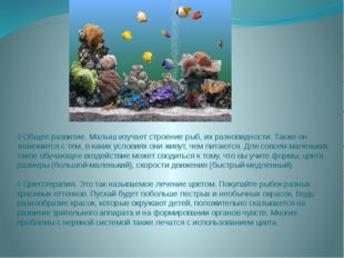 ◊ Общее развитие. Малыш изучает строение рыб, их разновидности. Также он знак