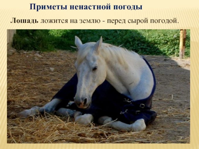 презентация по теме народные приметы и погода