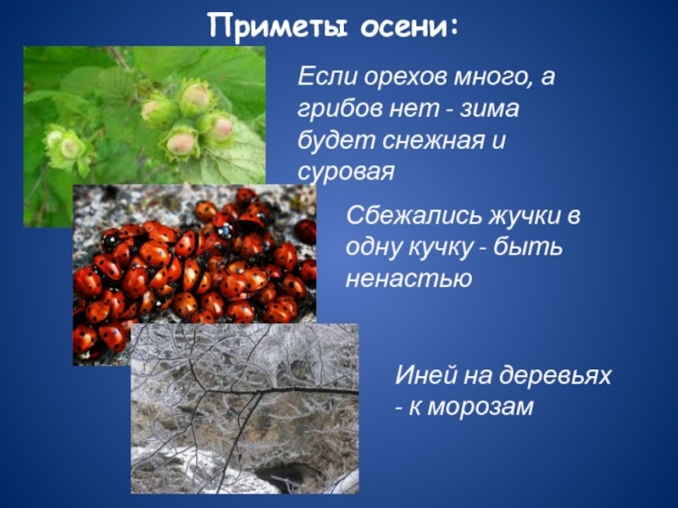 презентация по теме народные приметы и погода