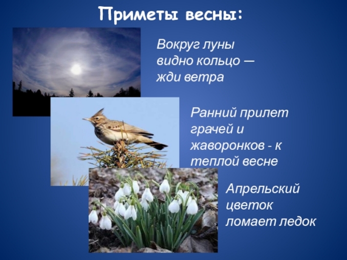 презентация по теме народные приметы и погода