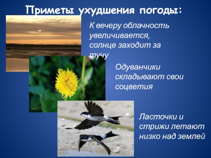 презентация по теме народные приметы и погода