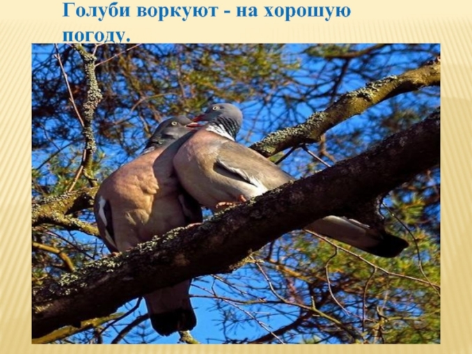 презентация по теме народные приметы и погода