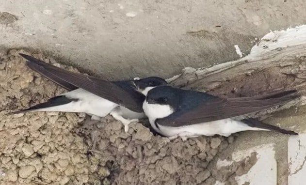 презентация по теме народные приметы и погода