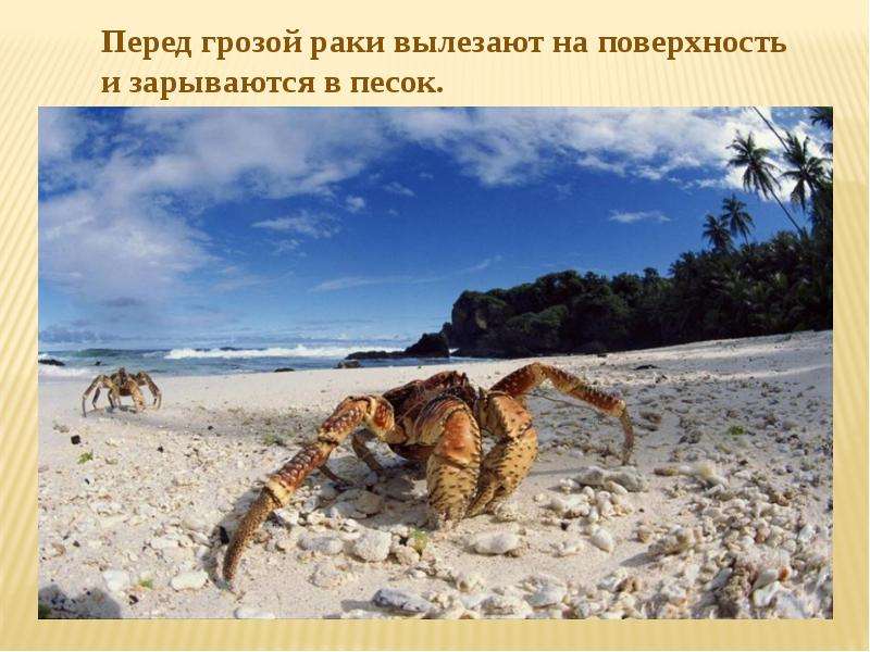 Презентация на тему Народные Приметы погоды , слайд №15