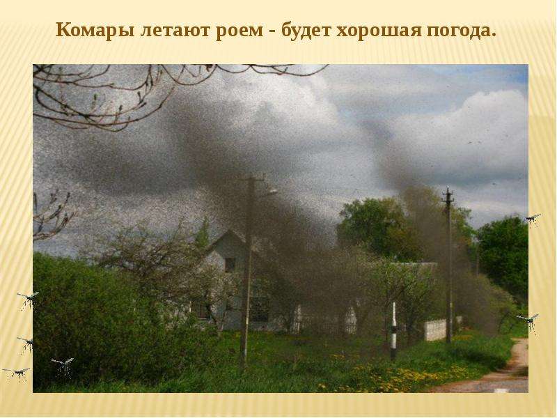 Презентация на тему Народные Приметы погоды , слайд №13