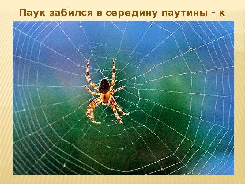 Презентация на тему Народные Приметы погоды , слайд №18