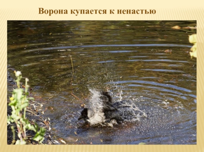 презентация по теме народные приметы и погода