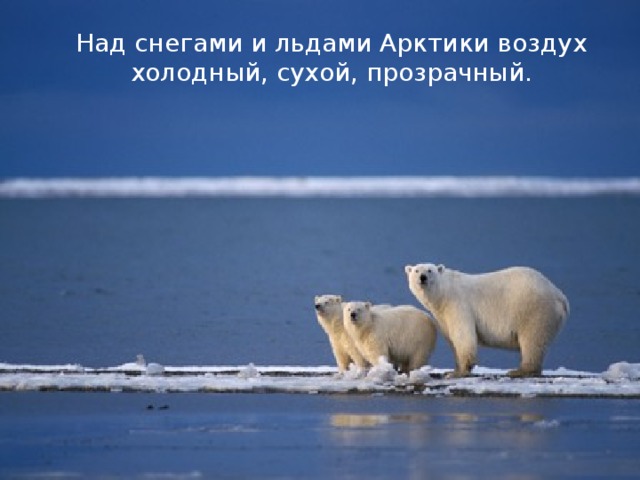 Над снегами и льдами Арктики воздух холодный, сухой, прозрачный.