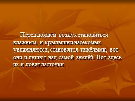 Выявление изменения признаков погоды нашей местности используя народные приметы, слайд 12