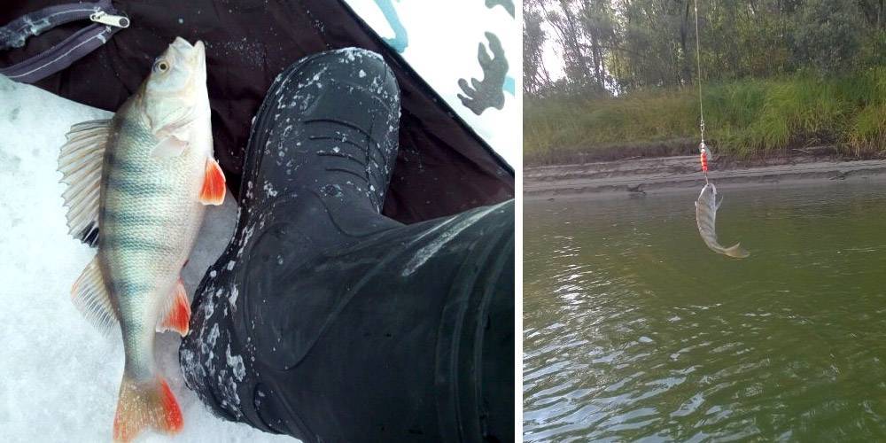 При каком давлении лучше рыбалка зимой