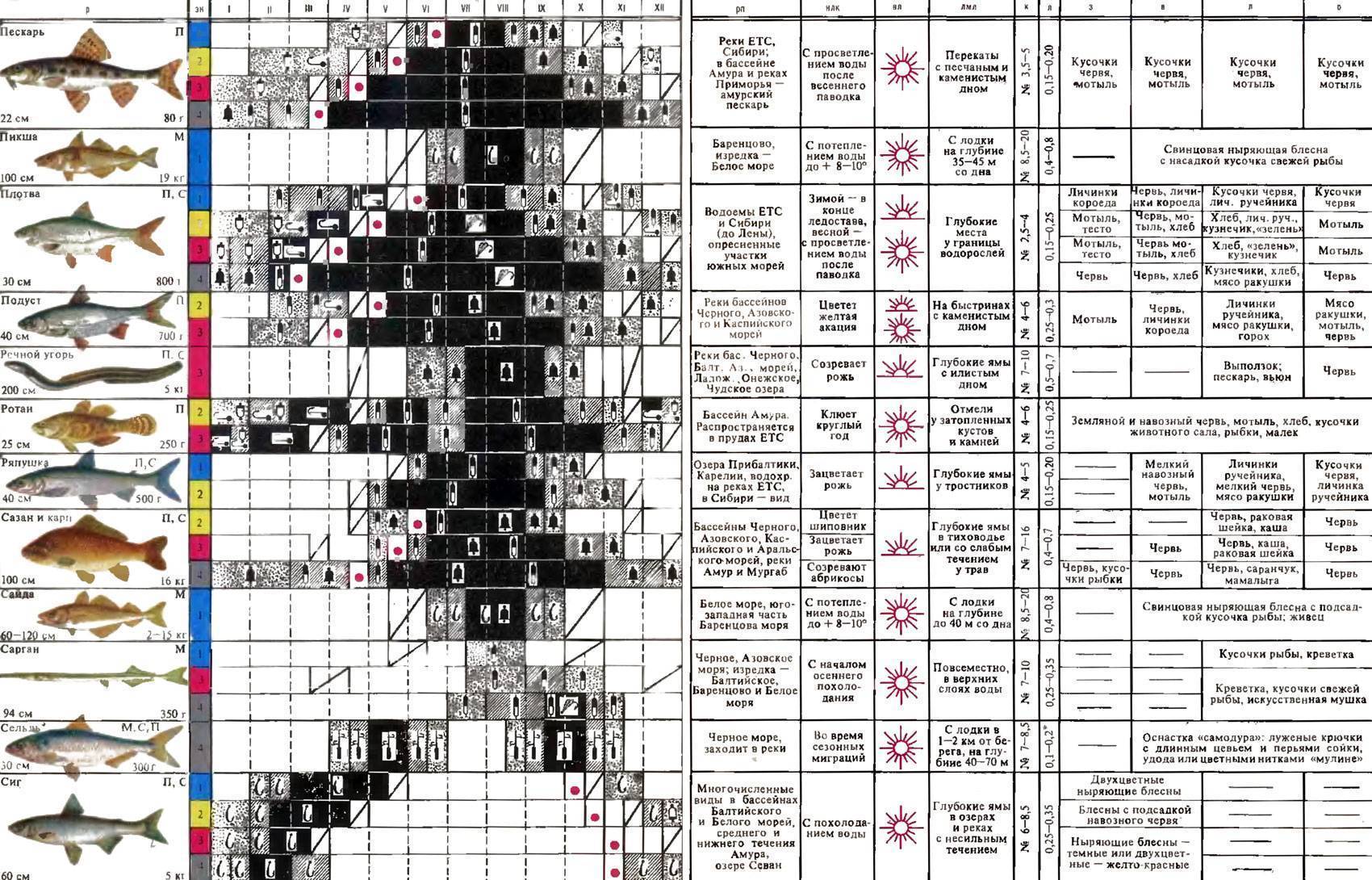 Когда и при каком атмосферном давлении лучше клюет рыба?