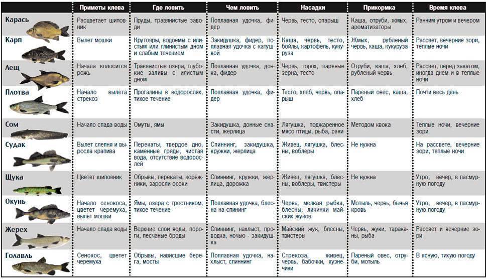 Давление для зимней рыбалки