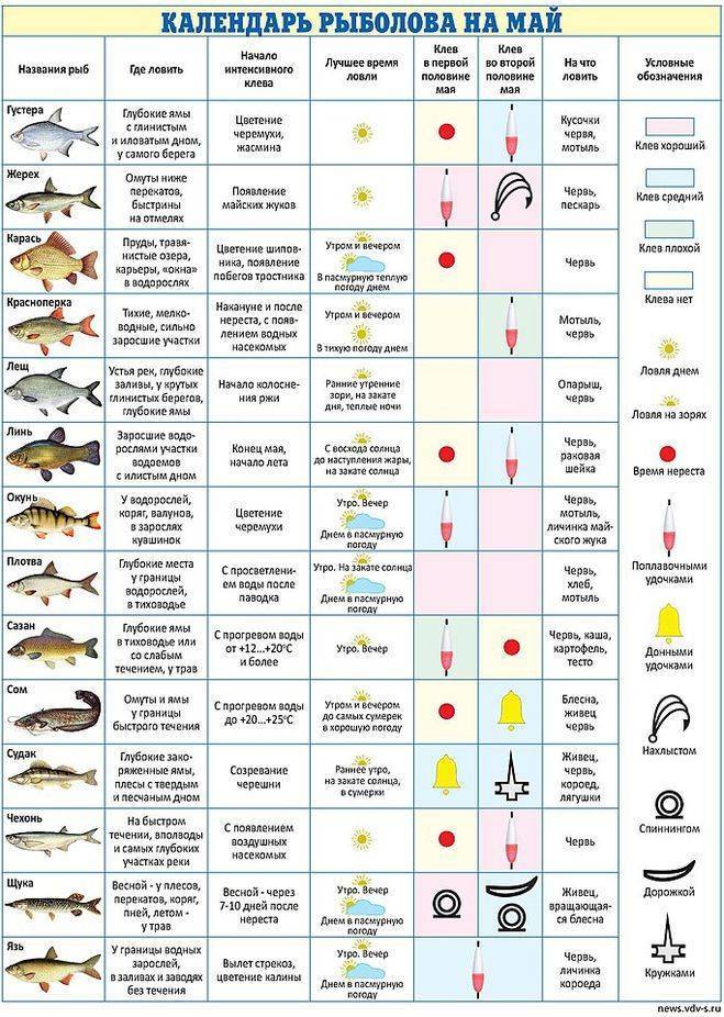 Какая погода лучше для рыбалки