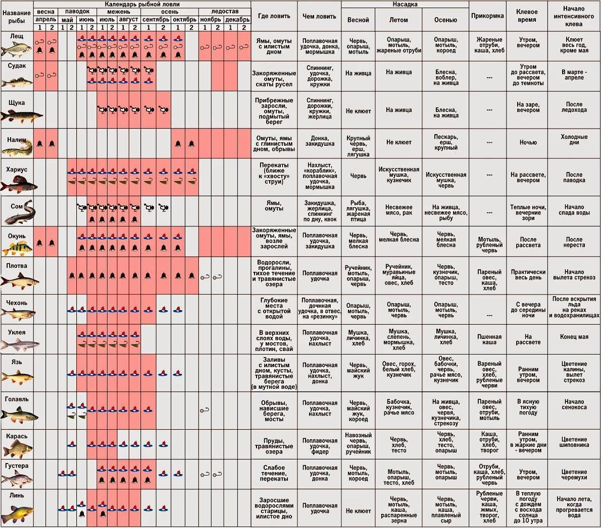 &laquo;погода для рыбалки&raquo;, или в какую погоду лучше клюёт?