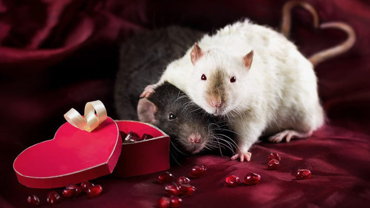 Читайте еще