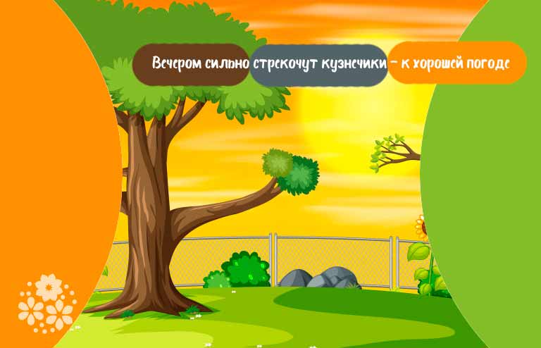 Приметы лета для школьников