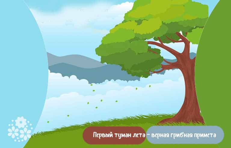 Приметы лета для детей-дошкольников