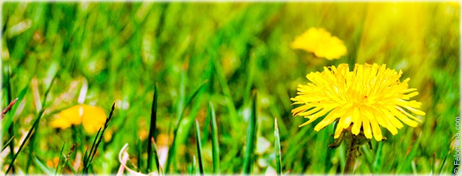 Приметы на месяц Май